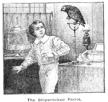 the shipwrecked parrot