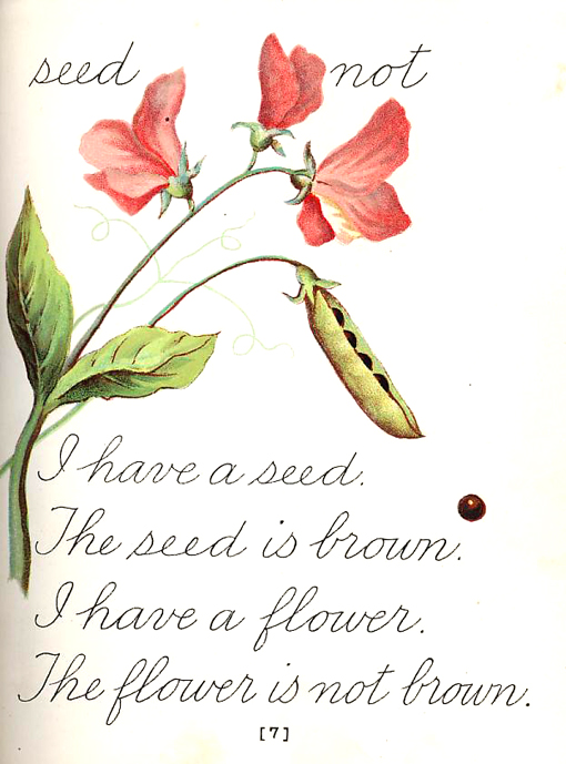 I have a seed