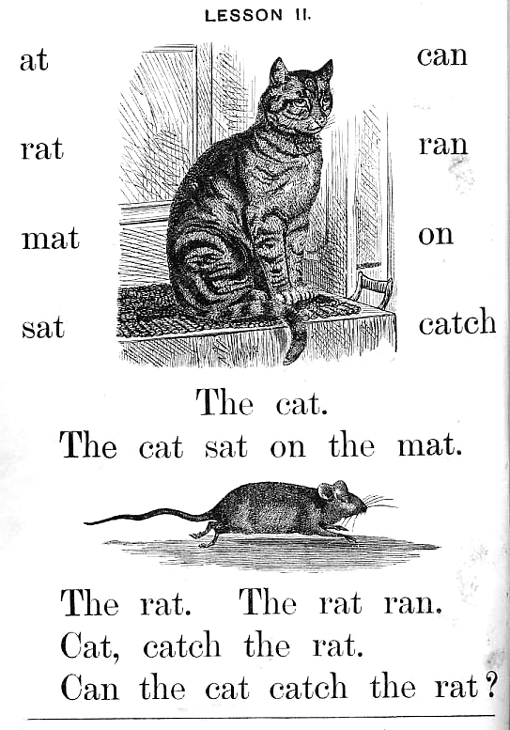 can the cat catch the rat
