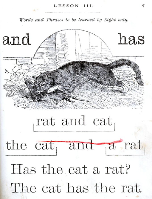 rat and cat